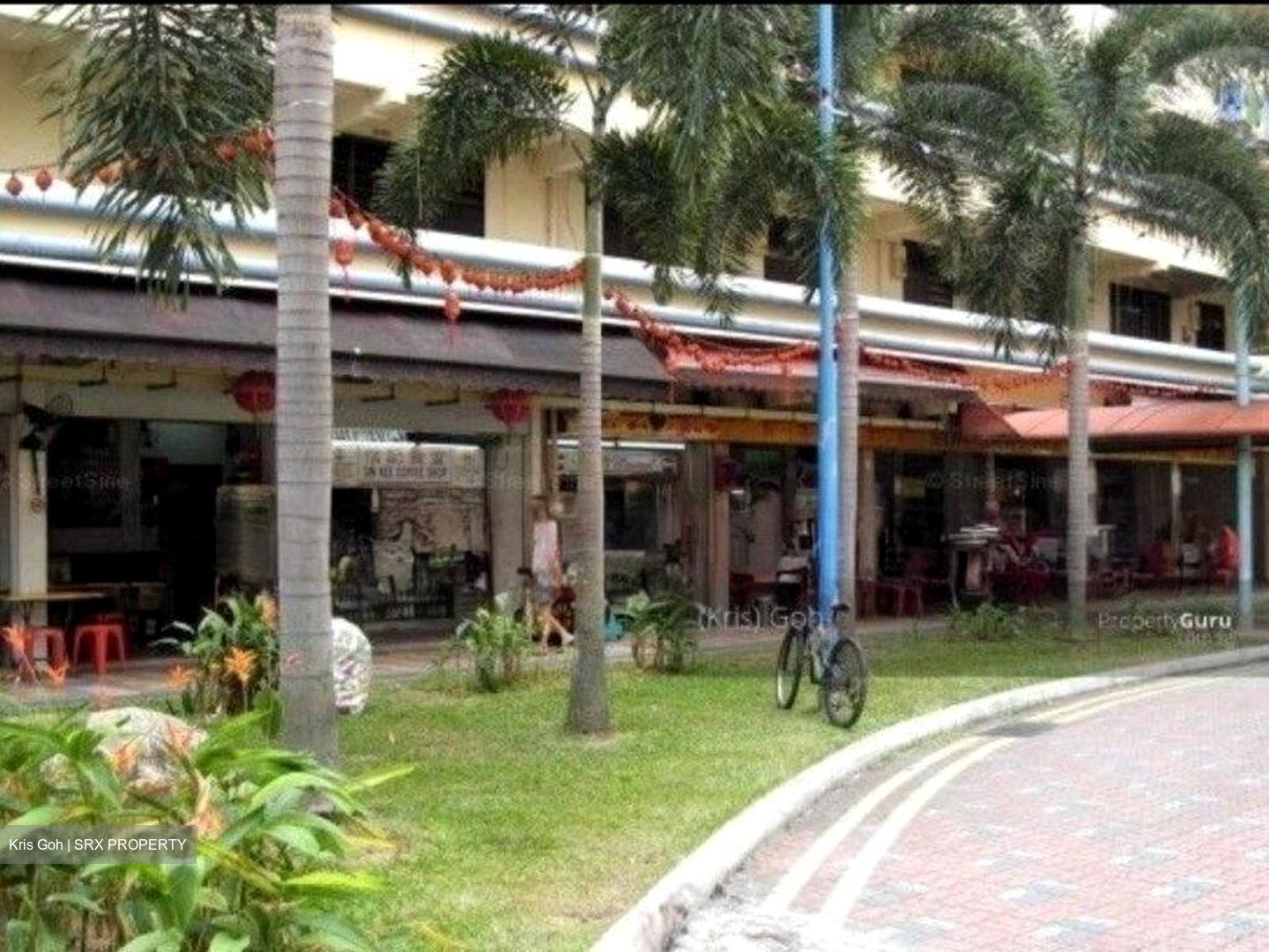 Tiong Bahru Orchid (D3), Shop House #632846981